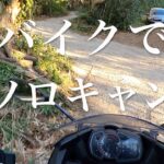 森の中でしっぽりキャンプ in 南房総【バイクでソロキャン】