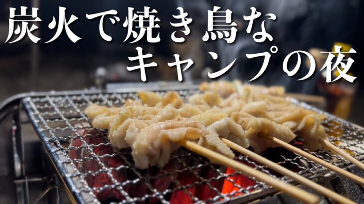 【炭火焼き】焼鳥とホルモンと和牛のステーキを焼いて食うキャンプの夜