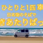 【車中泊】60歳ひとりと1匹日本海のそばで行きあたりばっ旅