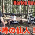 【ハーレー】ソロキャンの仙人にキャンプの極意学んでみた。Harley Davidson