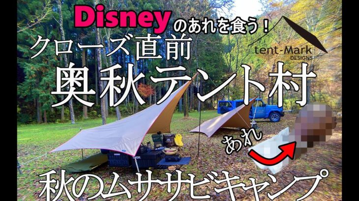 【ソロキャン】ムササビウイングでソロコラボ【奥秋テント村】