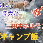 【ソロキャン③】クールな柴犬と激ウマホルモン焼き