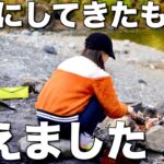 【徒歩キャンプ女子】今まで大切に育ててきたのに大惨事…東京の秘境奥多摩で秋の紅葉キャンプ/AKASO Brave8