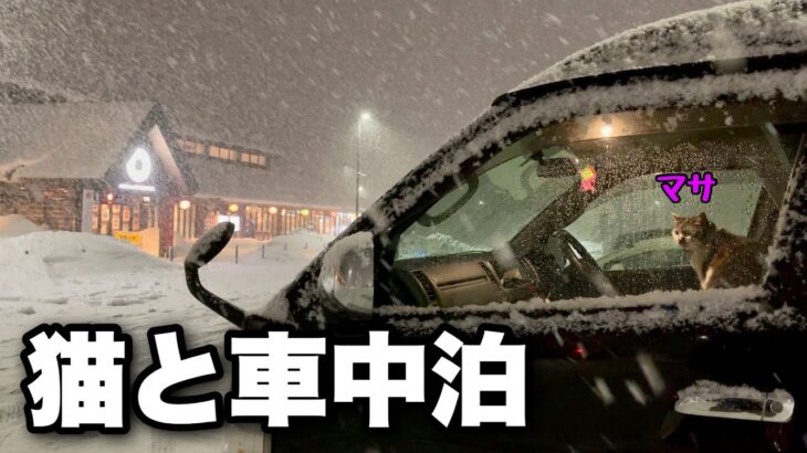 【猫と冬の車中泊】冬には積雪５ｍ！豪雪の月山道路を越えて米沢へ｜FFヒーターで冬でも暖かい快適な車内で猫とごはん