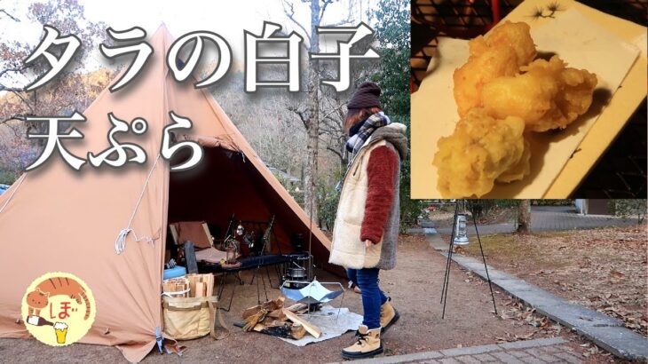 【タラの白子天ぷら】ぼっち女のソロキャンプ 【こぶ鯛】Tempura of Cod Milt[Japanese style izakaya at camp]