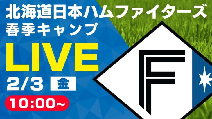 【特別LIVE】斎藤佑樹登場！2/3 朝10:00～ ファイターズキャンプLIVE 2023 in OKINAWA～北海道日本ハムファイターズ～