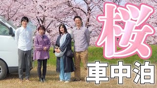 車中泊を楽しむ夫婦のリアルな4泊5日旅#4/満開の桜名所をハシゴする絶景旅