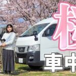 夫婦二人で一週間車中泊#1/みちのく桜名所をハシゴする青森・秋田旅