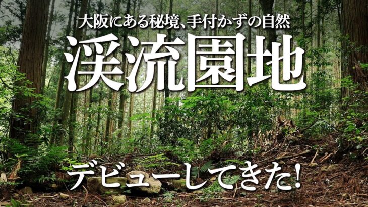 【ソロキャン】漆黒の森、大阪にある手付かずの自然、渓流園地デビュー！