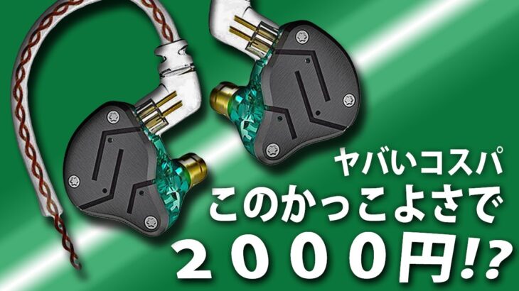 2000円でこのカッコよさ‼ まさにコスパ最強イヤホン KZ ZSN  【中華イヤホン、ハイブリッドイヤホン】