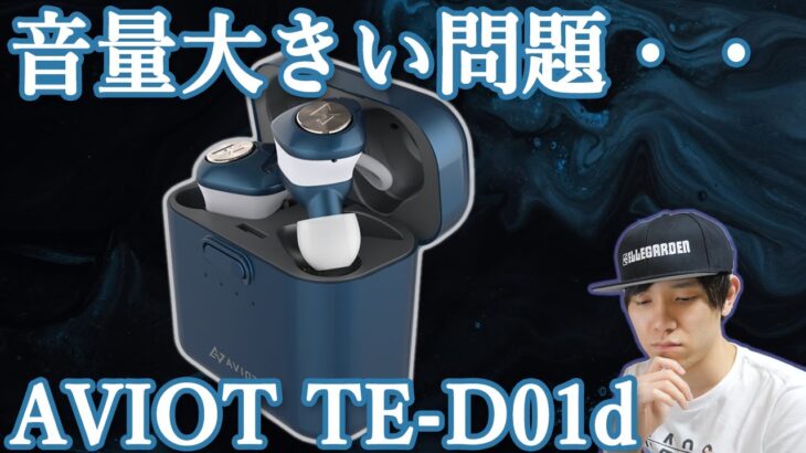 完全ワイヤレスイヤホン AVIOT TE-D01d 最低音量が大きいと感じる方向け解決策‼　Amazon Music、Spotify、Apple Musicなどサブスクでできる‼