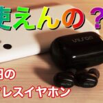 超破格！コスト最強！980円の完全ワイヤレスイヤホンはどんな音？