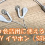 Web会議用に使える？SONYのオープンイヤーワイヤレスイヤホン