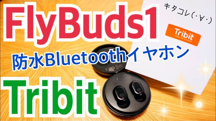 Tribit FlyBuds1 防水Bluetoothワイヤレスイヤホン BTH91