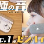 【ノイキャン◎】オーディオ初心者も大興奮のワイヤレスイヤホンがこちらです。【MOMENTUM True Wireless 2】