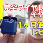 GEOの完全ワイヤレスイヤホン 1ヶ月使用レビュー