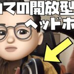 【レビュー】人生初の開放型ヘッドホン「ゼンハイザーHD599」に感動！！