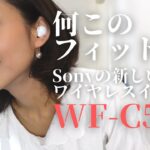 ソニーのワイヤレスイヤホンWF-C500を試したらフィット感やばかった