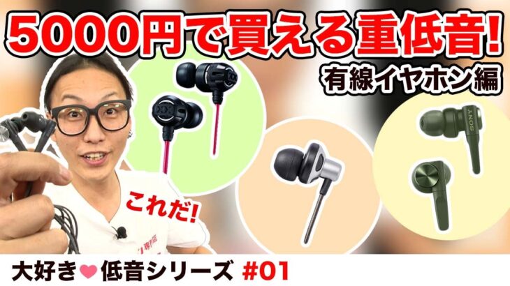 #1【大好き低音シリーズ】5000円で買える重低音イヤホンをご紹介！〜有線イヤホン編〜