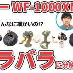 ソニー開発者インタビュー！人気ワイヤレスイヤホン WF-1000XM4 をバラバラにして中身を見てみた！