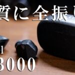 音質に全振り「final ZE3000」をレビュー(ファイナル ワイヤレスイヤホン)