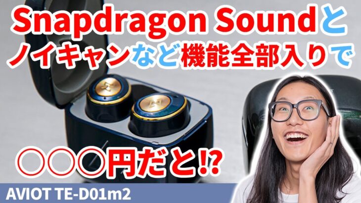 Snapdragon Soundに対応したANC搭載ワイヤレスイヤホン！AVIOT TE-D01m2を聴いてみた！