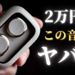 大注目の新ブランドCleer「ALLY PLUS II」 完全ワイヤレスイヤホンレビュー