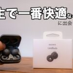 【レビュー】SONY / LinkBuds 〜人生で一番快適なワイヤレスイヤホン〜「音質」「音漏れ」「マイク」「外部音」