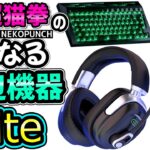 APEX世界大会のヘッドセットがヤバい！超猫拳の気になる周辺機器Lite！