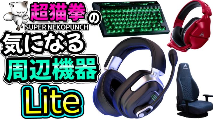 APEX世界大会のヘッドセットがヤバい！超猫拳の気になる周辺機器Lite！