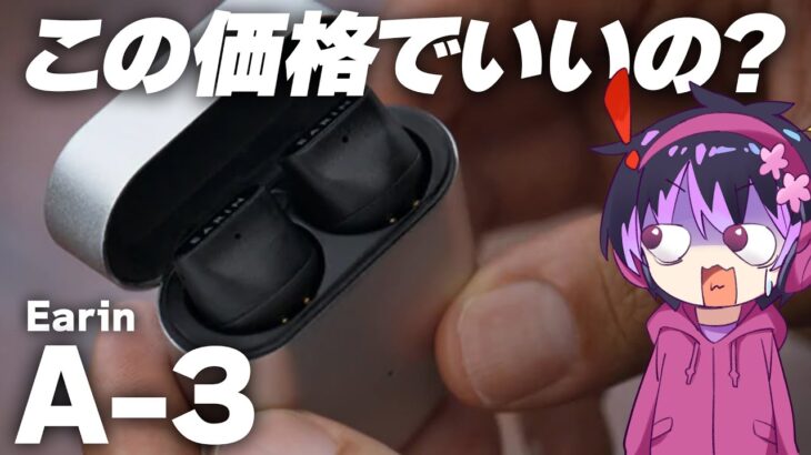 コスパ・デザインが最高過ぎるワイヤレスイヤホン【Earin A-3】