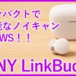 【SONY LinkBuds Sレビュー】超コンパクトで高機能・高品質な完全ワイヤレスイヤホンを徹底レビュー！！（WF-LS900N）