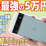 【絶対買え】コスパ世界一「Google純正スマホ」が凄い！【Pixel 6a】