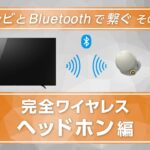 ブラビアと完全ワイヤレスヘッドホンをBluetoothでつなぐ