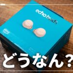 Amazon Echo Budsって実際どう？元イヤホン屋のイヤホンマニアが検証してみた。