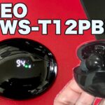 【GEO TWS-T12PBK】GEOの新作完全ワイヤレスイヤホン辛口レビュー！！オススメの使い方はこれだ！！