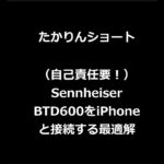 （自己責任要！）Sennheiser-BTD600をiPhoneと接続する最適解 #shorts