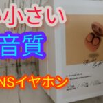 巷で話題の超小型3COINSワイヤレスイヤホン