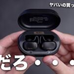 完全に想定外。ヤバいイヤホン買ってしまったかも…／NUARL NEXT1 EARBUDS