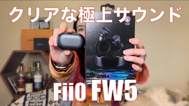 【 FiiO FW5 】FiiOフラッグシップTWSの実力は！？【クリアでバランス良いサウンド】