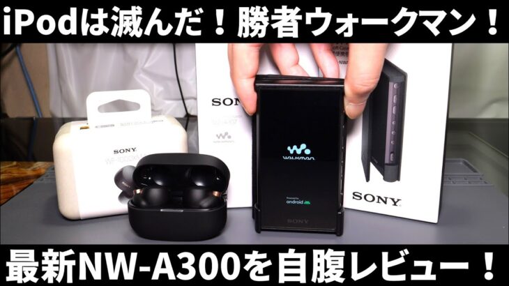 iPodは滅んだ！最新Android搭載ウォークマンNW-A300を自腹レビュー！ついでに完全ワイヤレスイヤホンも買ったった！