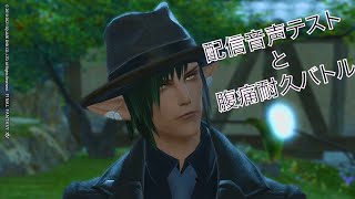 【FF14】新しいヘッドセットが届いたのでテスト的な配信