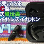 GEOで売ってるHIDISC製 耳掛け式骨伝導完全ワイヤレスイヤホン GO BCHGW1BK