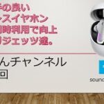 使い勝手の良いワイヤレスイヤホンを更に同時利用で向上させるガジェッツ達。soundcore VR P10