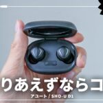 3000円以下でも音が良い！ 高コスパワイヤレスイヤホン「SHO-U D1」レビュー