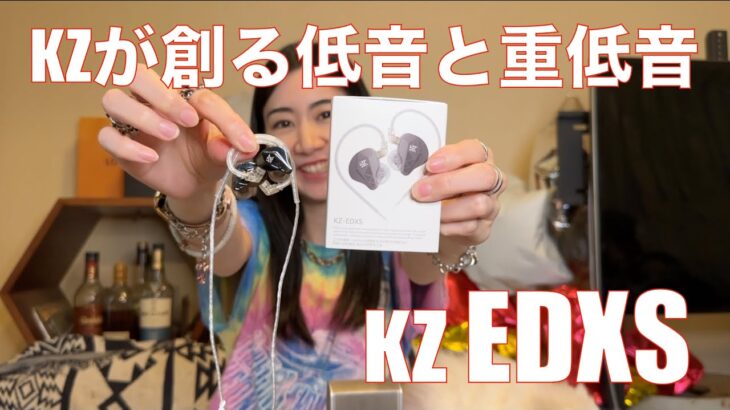 【 KZ EDXS 】低音と重低音にこだわった新KZサウンドは良かった！【提供でもガチレビュー】