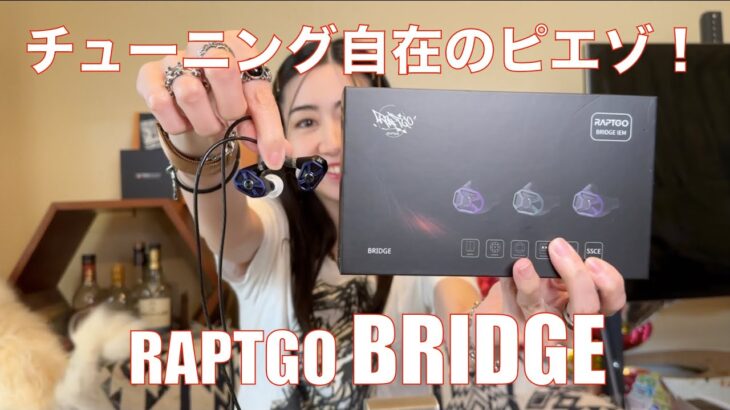 【 RAPTGO BRIDGE 】ディップスイッチとサウンドフィルター３つで自分好みに音をチューニングできる素敵な中高域！【提供でもガチレビュー】