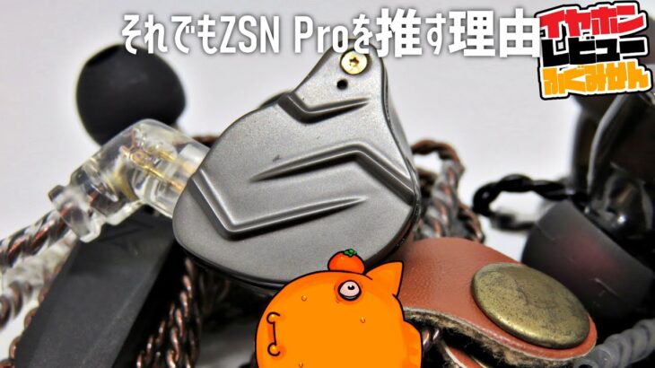 ZSN Pro XはKZにて最強【イヤホン/雑談】