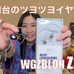 【 WGZBLON Z200 】2000円台の格安イヤホンが信じられない音だった！【価格破壊も半端ない！】