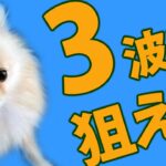 FX エリオット波動とは波のリズム、優位性の高い３波目を狙う。